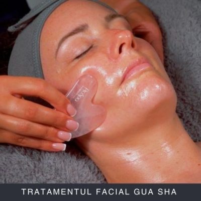 Tratamentul Facial Gua Sha Curs Online Tratamentul Facial Gua Sha Curs Online