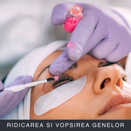 Lash Lift and Tint (Ridicarea si Vopsirea Genelor) Curs Online Lash Lift and Tint (Ridicarea si Vopsirea Genelor) Curs Online