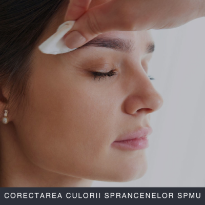 Corectarea Culorii Sprancenelor SPMU Curs Online Corectarea Culorii Sprancenelor SPMU Curs Online