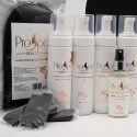Kit pentru Aplicare Bronz Manual