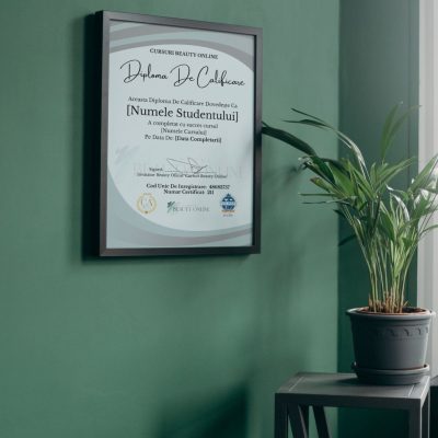 Diploma de Finalizare a Cursului Diploma de Finalizare a Cursului